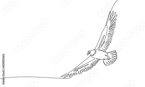 Eagle as symbol USA. One line continuous bird. Line art, outline, single line silhouette. Hand drawn vector illustration. 
