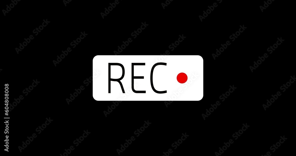 Blinking Red Record Button With TV interference Blinking Red Record Button With TV interference