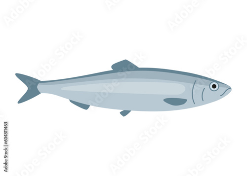 Herring fish, clupea harengus, seafood and underwater color animal. Water delicacy, gourmet. Fishing. Vector illustration isolated
