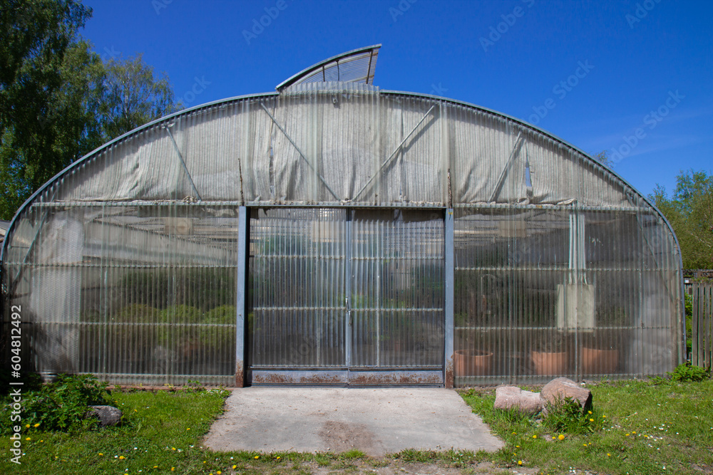 Greenhouse with plants in the summer garden.