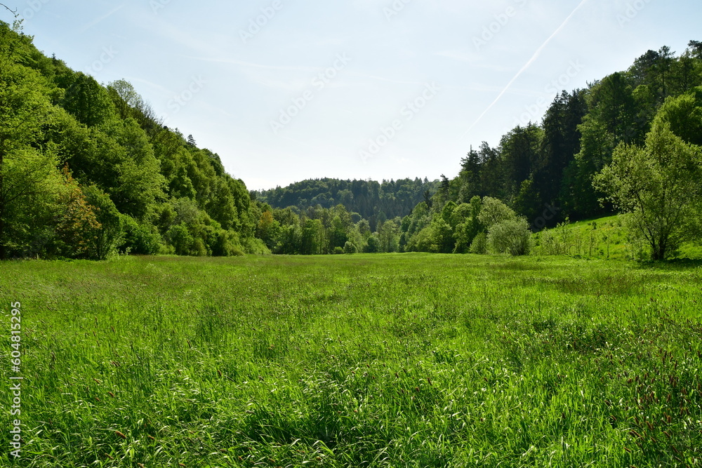 Meadow in valley with the hills of franken Germany trees