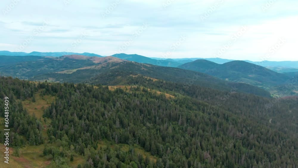 Beautiful green Carpathian mountains landscape with drone flying over hills. Evergreen forest growing in Ukraine on cloudy morning Beautiful green Carpathian mountains landscape with drone flying over hills. Evergreen forest growing in Ukraine on cloudy morning