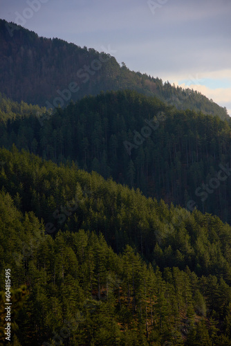 Beautiful mountain landscape, Zaovine, Serbia