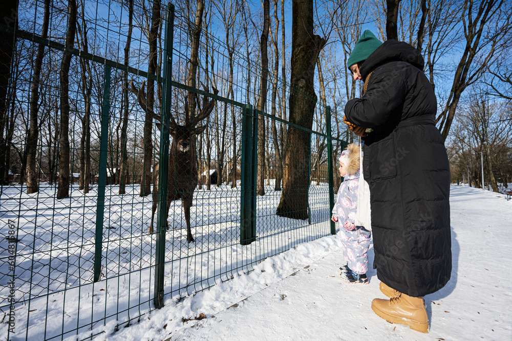 Mother and child on a sunny frosty winter day in the park feeding a reindeer in the zoo. Mother and child on a sunny frosty winter day in the park feeding a reindeer in the zoo.