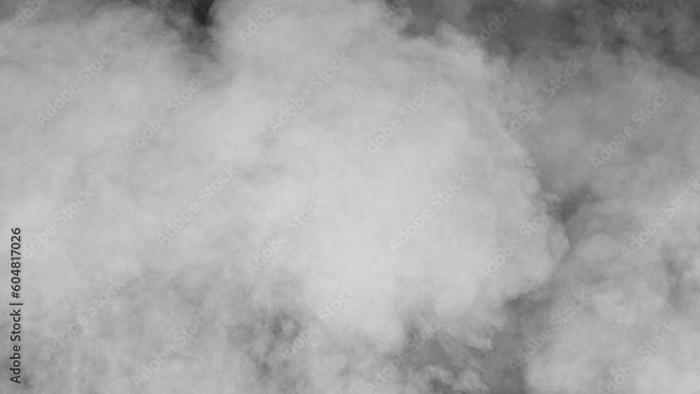 Fototapeta premium abstract background smoke curves and wave