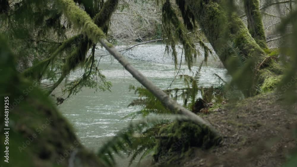 A serene river glides peacefully, its shimmering waters embraced by ...