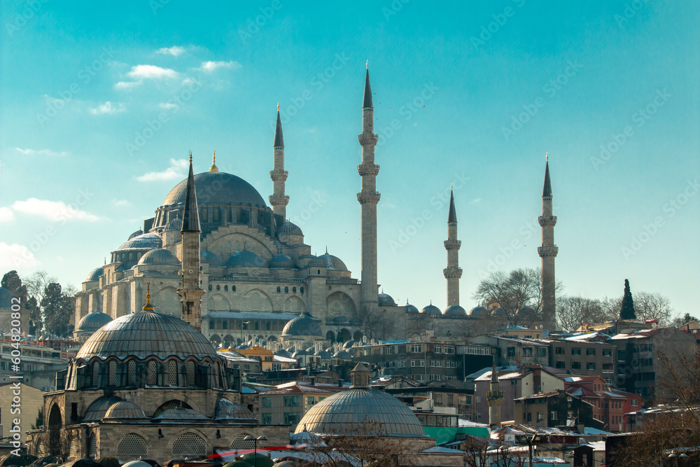 Obraz premium Domes of Suleymaniye mosque in Istanbul, Turkey