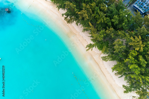 Aerial view of the beach with palm trees and sea. Grand Baie Beach, Mauritius.
