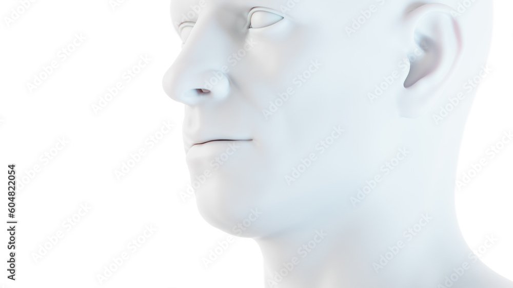 3d medical illustration of the Male body 3d medical illustration of the Male body