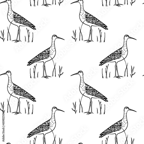 Vector seamless pattern with hand drawn sweet Black-tailed Godwit in wetland grass. Ink drawing, decorative graphic style. Beautiful animal design elements, perfect for prints and patterns