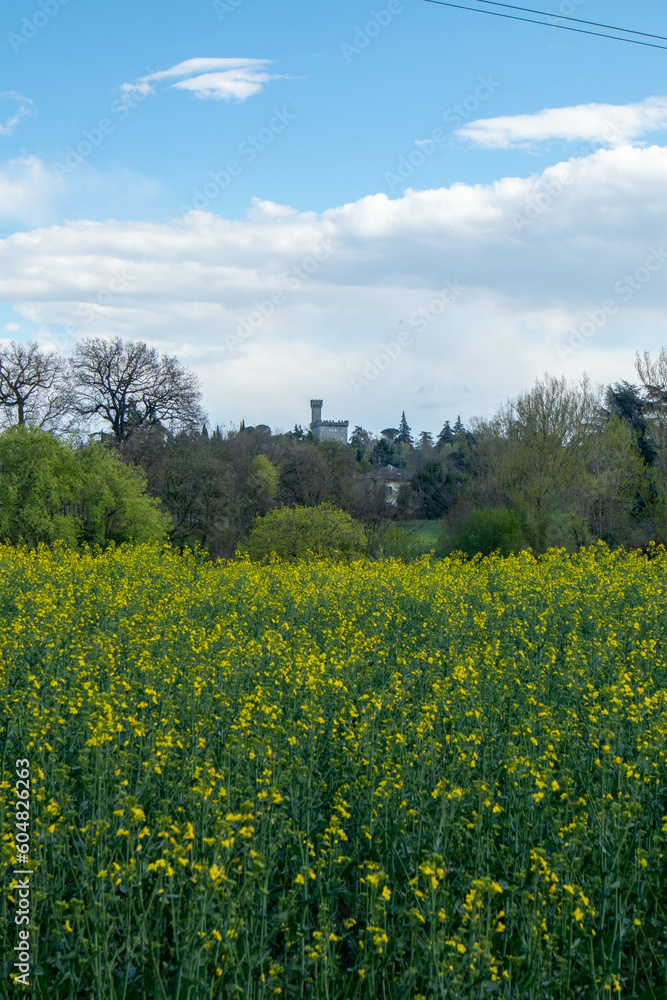 Località Ca de Mandorli, comune di San Lazzaro di Savena, città metropolitana di Bologna, Emilia Romagna Località Ca de Mandorli, comune di San Lazzaro di Savena, città metropolitana di Bologna, Emilia Romagna