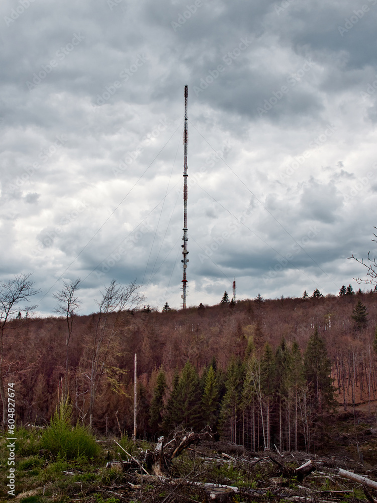 Obraz premium large radio tower stands in the middle of the forest