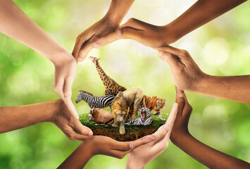 Wildlife Conservation Day. wildlife protection, multiracial human come to build hands in shape of circle to protect the environment. promote conservation wildlife. green background Sun light. Ecology.