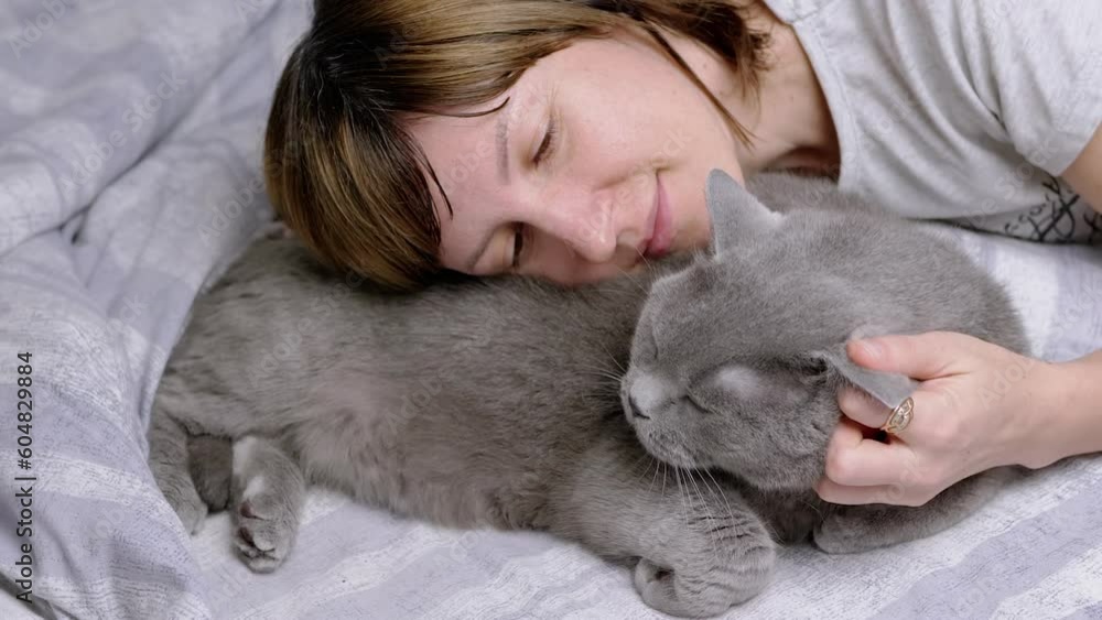 Girl Hugging a Gray Fluffy British Cat While Lying on a Soft Bed in the Room. Happy woman is resting next to beloved pet, stroking and scratching it. Love, care, affection, and friendship with pets. Girl Hugging a Gray Fluffy British Cat While Lying on a Soft Bed in the Room. Happy woman is resting next to beloved pet, stroking and scratching it. Love, care, affection, and friendship with pets.