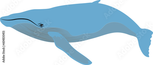 humpback whale vector sea animal element 
