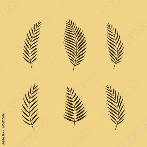 Set of palm leaves. Collection of design elements. Vector illustration.
