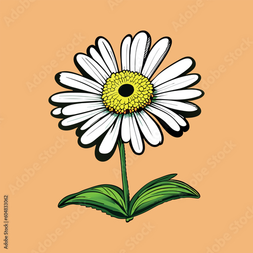 Daisy flower vector art. Eps 10