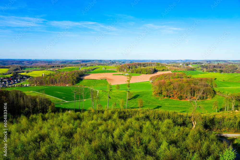 Landscape at Ebberg near Balve. Green nature with forests and meadows.
