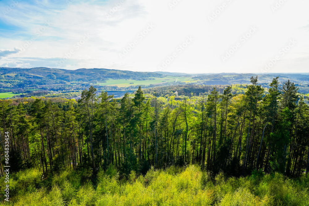 Landscape at Ebberg near Balve. Green nature with forests and meadows.
