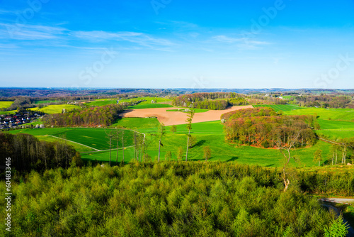 Landscape at Ebberg near Balve. Green nature with forests and meadows. 