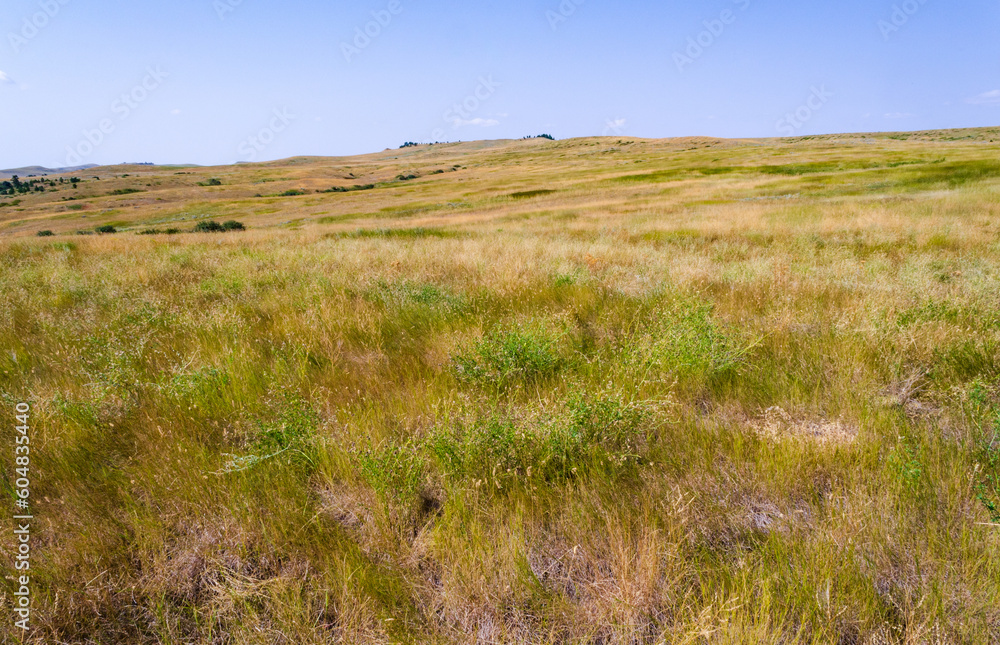 Grassy Fields at Rosebud Battlefield State Park