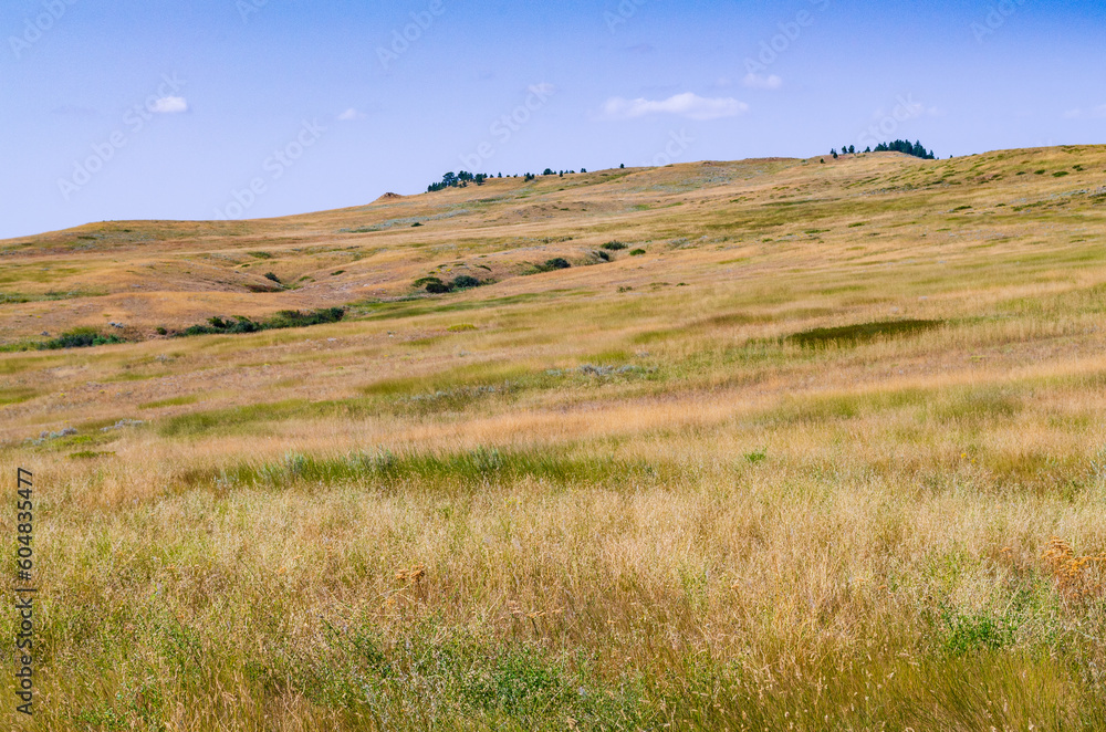 Grassy Fields at Rosebud Battlefield State Park
