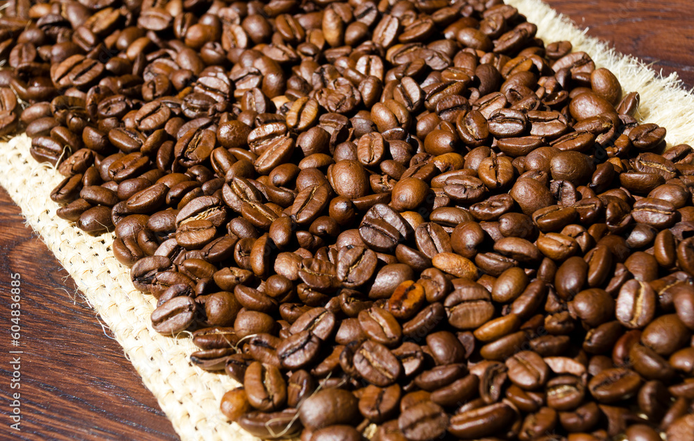 Fototapeta premium Coffee beans on burlap. Arabica is the most common type of coffee.