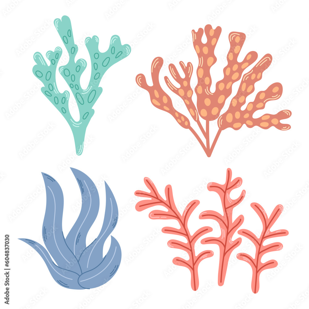 Hand drawn colorful coral and seaweed collection. Modern flat illustration.