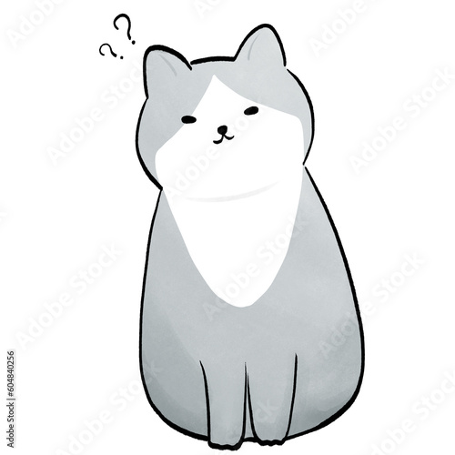Korat Cat