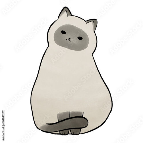 Cute Siamese Cat