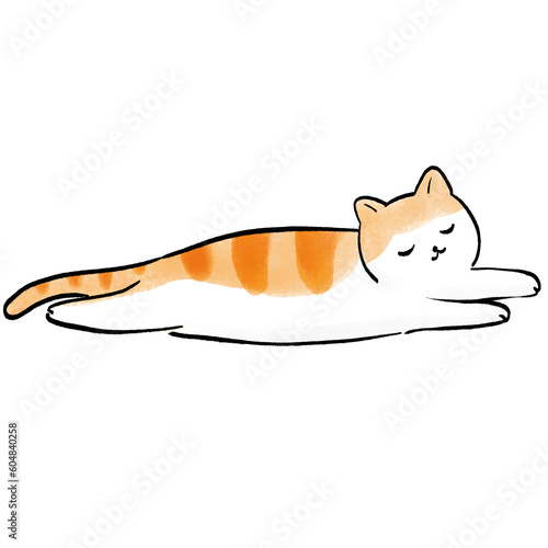 Ginger Cat