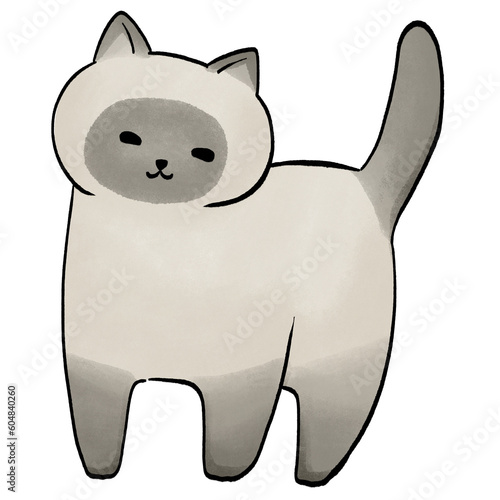Cute Siamese Cat
