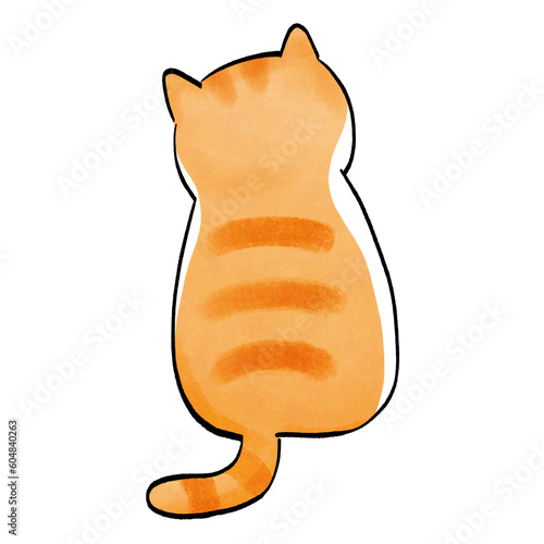 Ginger Cat