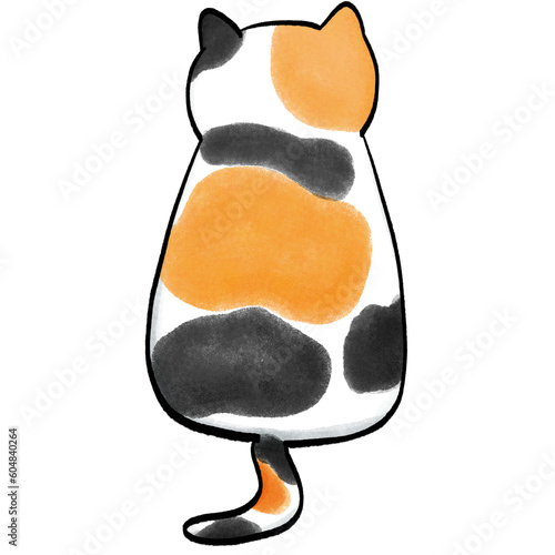 Cute Calico Cat