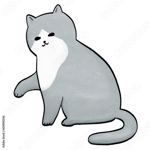 Korat Cat