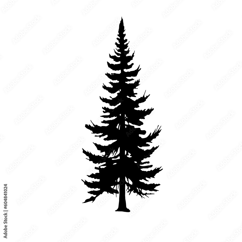 Coniferous - Silhouette Coniferous - Silhouette