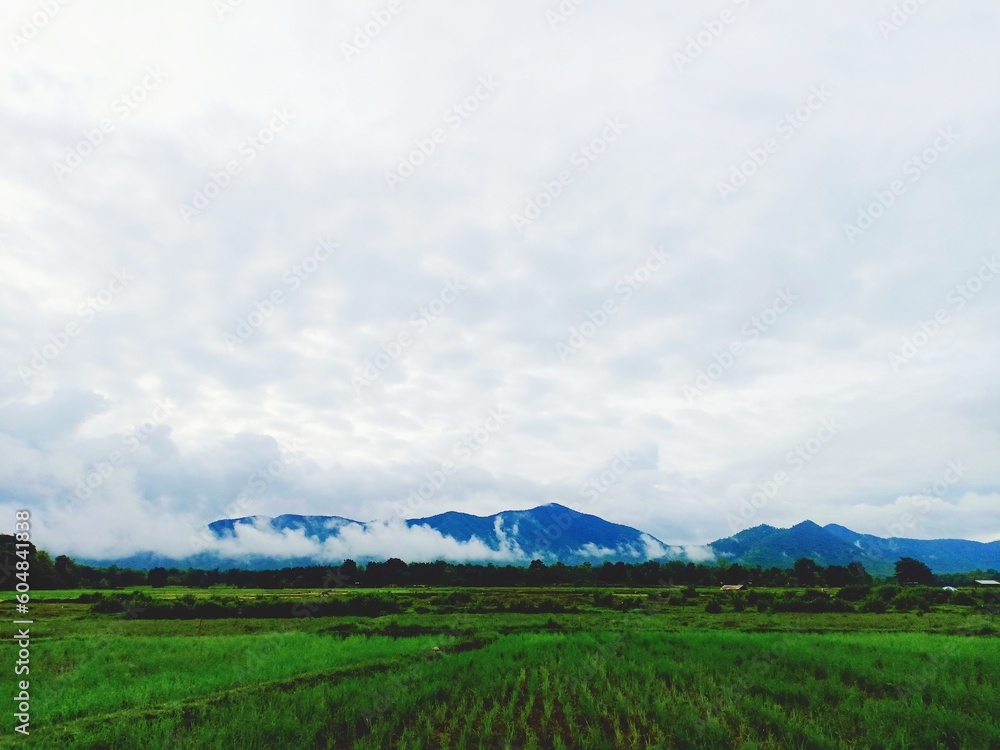 Fototapeta premium landscape with mountains and blue sky