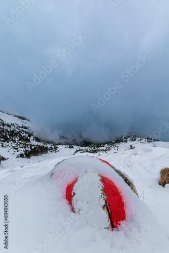 snowy Rofan Mountains photo