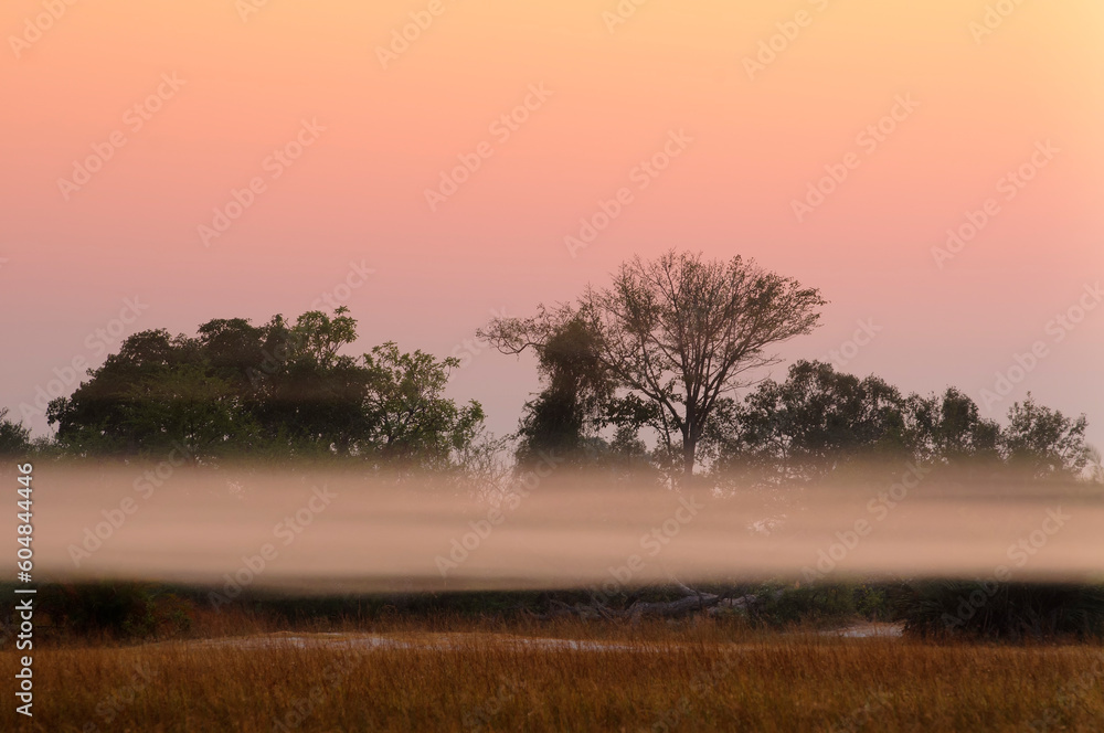 Sunrise in Okavango delta. Botswana