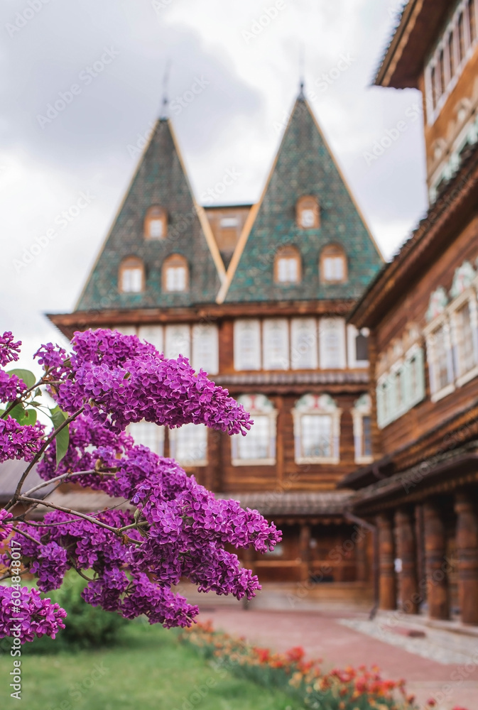 Beautiful, fluffy lilac on the background of the palace of Tsar Alexei Mikhailovich in Kolomenskoye. Russia, Moscow, May 2023