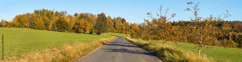 alley deciduous trees and road autumn panoramic view alley deciduous trees and road autumn panoramic view