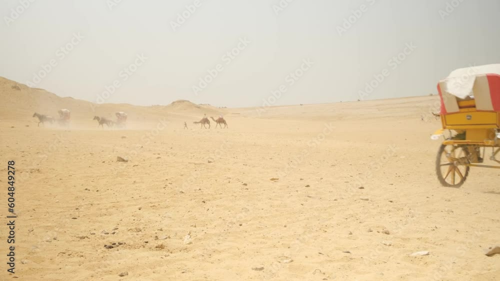 A horse with a comet carries people through the desert. Giza, Egypt.