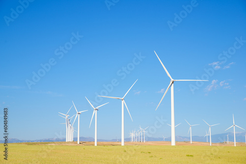 Wind turbine generators for green electricity production