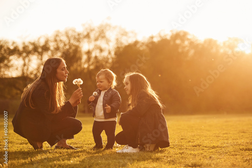 Illuminated by sunlight. Playing with dandelion. Woman with her two young daughters is on the summer field