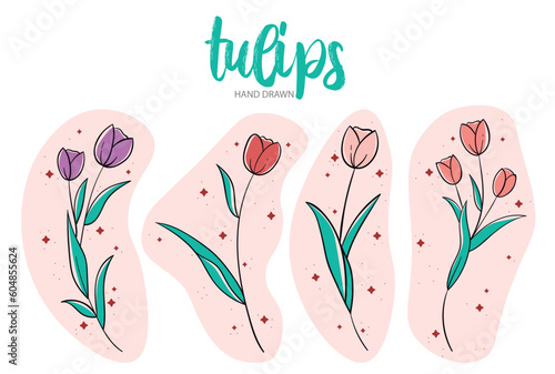 Tulips hand drawn set