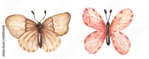 Watercolor butterfly illustration set  insect clipart  moth