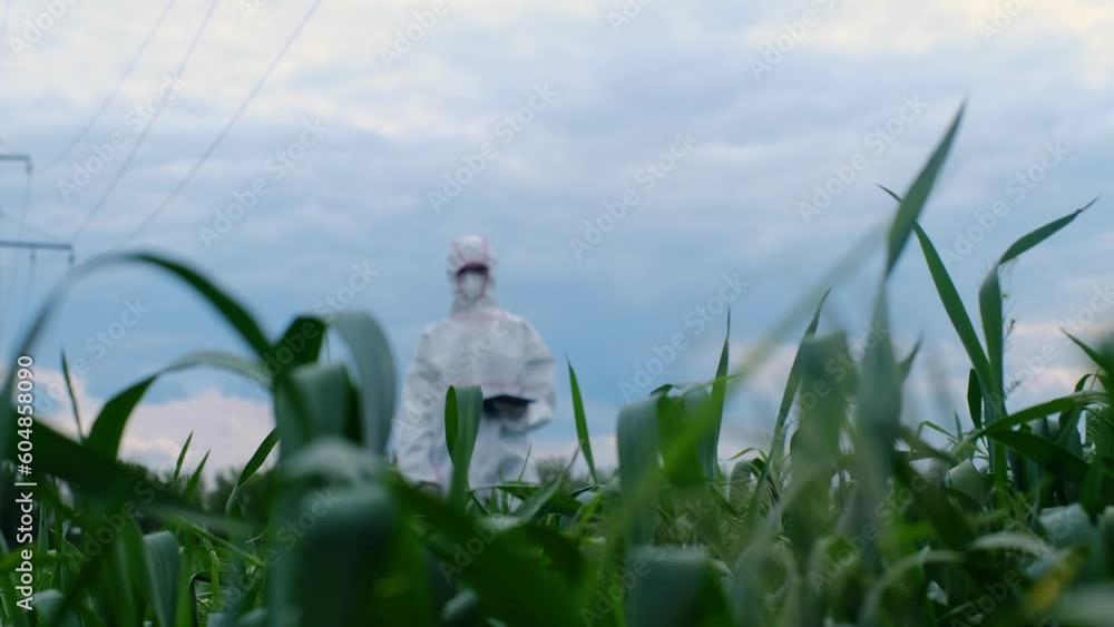 The epidemiologist works in the field. A biologist in a respirator and a protective suit explores the field with the help of modern technology. Epidemiologist in a protective suit and mask. The epidemiologist works in the field. A biologist in a respirator and a protective suit explores the field with the help of modern technology. Epidemiologist in a protective suit and mask.