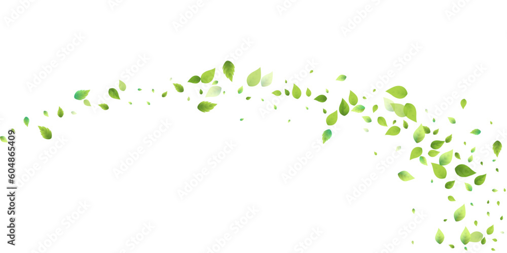 Leaves Green Falling Flying Foliage Leaf Tea Mint - obrazy, fototapety, plakaty 