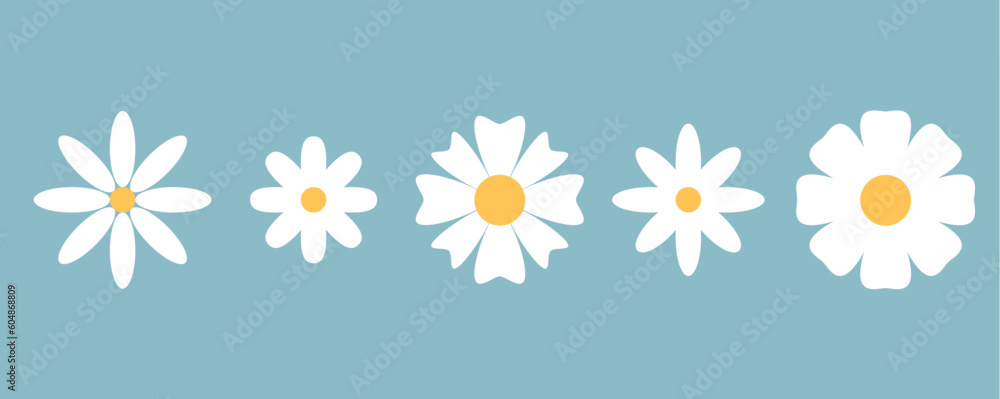 Obraz premium set of white flowers simple spring icon collection