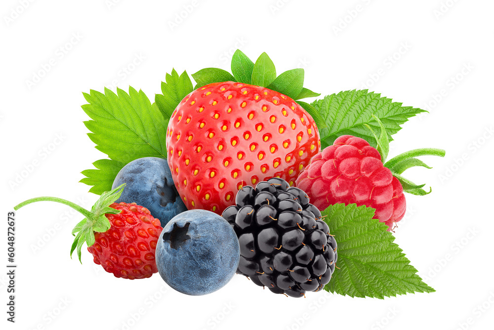 wild berries mix, strawberry, raspberry, blueberry, blackberry, isolated on white background, full depth of field wild berries mix, strawberry, raspberry, blueberry, blackberry, isolated on white background, full depth of field